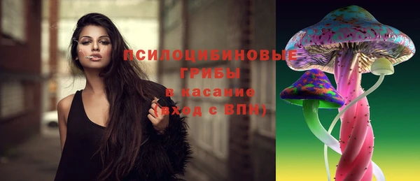 сатива Арсеньев
