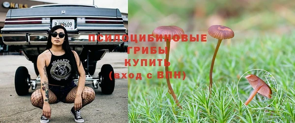 гидропоника Железноводск